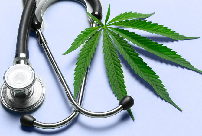 Fortbildung: Medizinisches Cannabis 2024: Neuigkeiten und Therapie-Ansätze